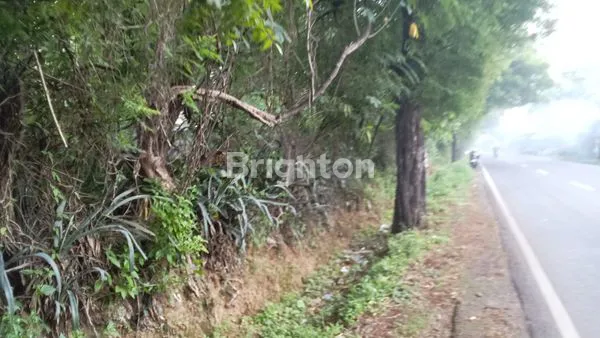 image JUAL TANAH KUBUTAMBAHAN SINGARAJA (2)