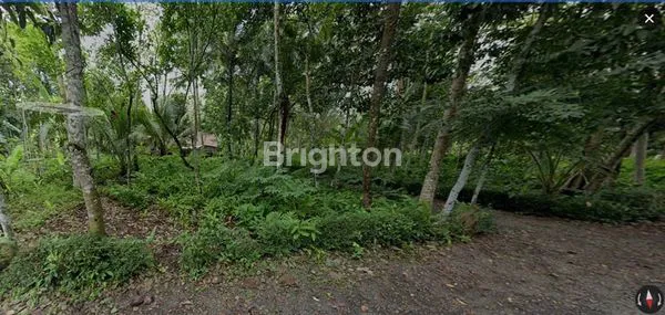 TANAH LOKASI STRATEGIS DI BANYUURIP, PURWOREJO