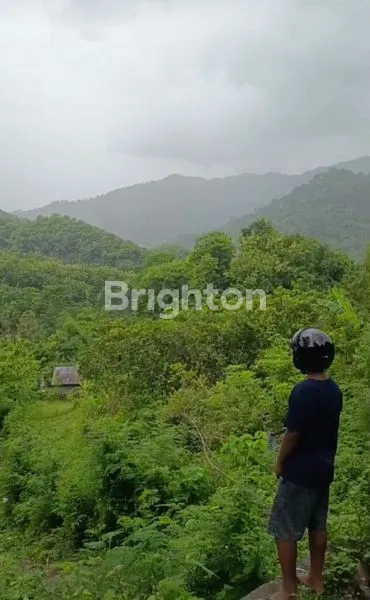 image JUAL TANAH SINGARAJA (3)