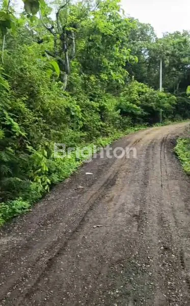 image JUAL TANAH SINGARAJA (1)