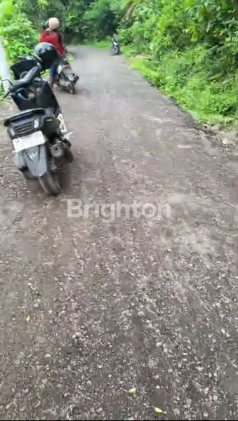 image JUAL TANAH SINGARAJA (4)