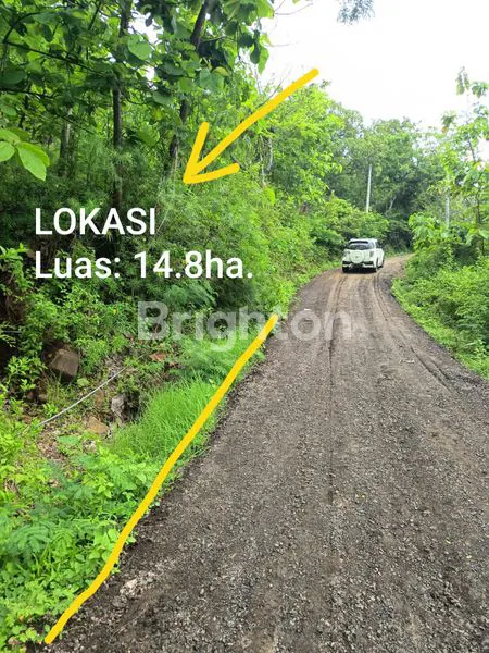 image JUAL TANAH SINGARAJA (2)