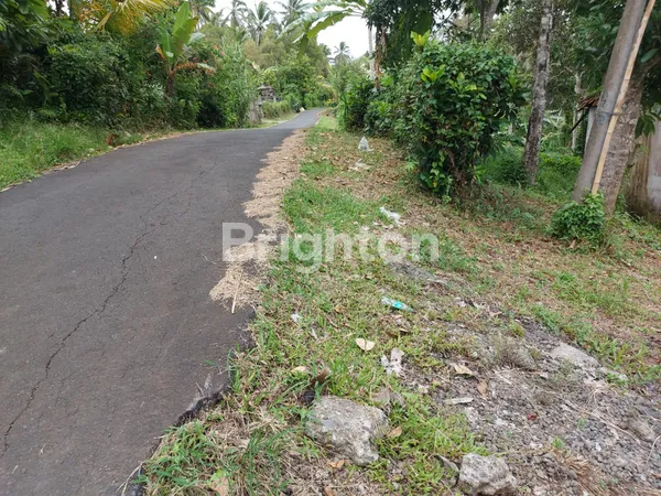 JUAL TANAH DI SELEMADEG - TABANAN LT 28100 M² (281 ARE)