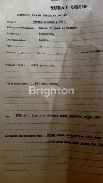 image TANAH DISEWAKAN LUAS 38,95 ARE LOKASI BEDULU BLAHBATUH GIANYAR (3)