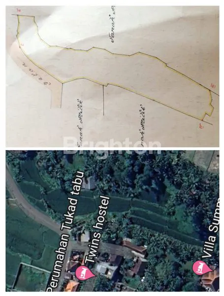image TANAH DISEWAKAN LUAS 38,95 ARE LOKASI BEDULU BLAHBATUH GIANYAR (2)