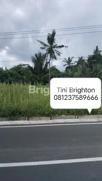 image TANAH DISEWAKAN LUAS 38,95 ARE LOKASI BEDULU BLAHBATUH GIANYAR (1)