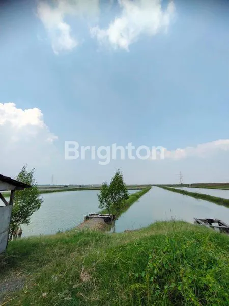 image LAHAN KOSONG PERGUDANGAN BUMI BENOWO (2)