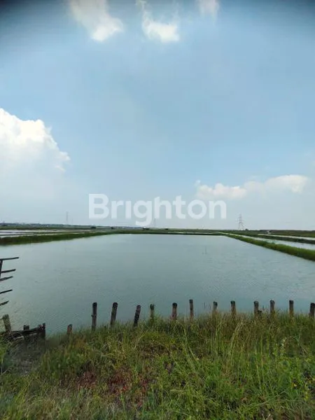 image LAHAN KOSONG PERGUDANGAN BUMI BENOWO (1)