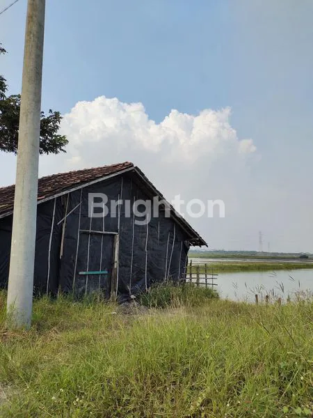 image LAHAN KOSONG PERGUDANGAN BUMI BENOWO (4)