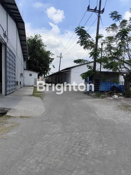 PABRIK NOL RAYA DRIYOREJO , KAWASAN INDUSTRI, GRESIK SURABAYA, HARGA 2.9 JUTA PERMETER + PPN