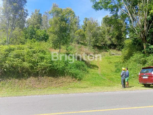 image TANAH 1,5 HA STRATEGIS DI KOTA TORAJA SULSEL (3)