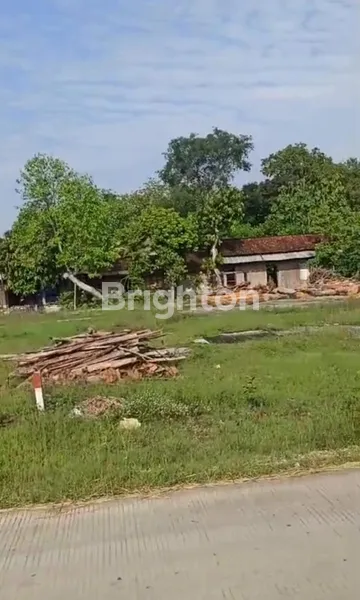 image TANAH STRATEGIS PINGGIR JALAN RAYA BLORA JAWA TENGAH  (1)
