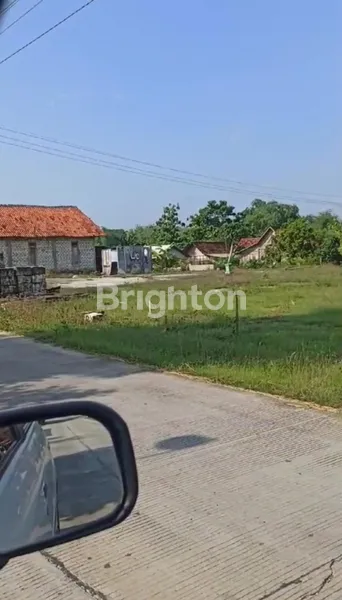 image TANAH STRATEGIS PINGGIR JALAN RAYA BLORA JAWA TENGAH  (3)