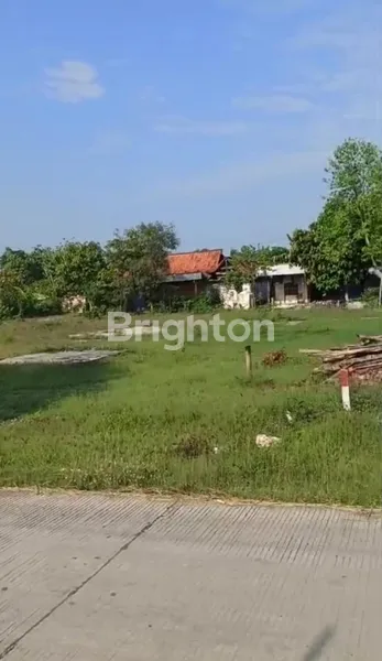 image TANAH STRATEGIS PINGGIR JALAN RAYA BLORA JAWA TENGAH  (4)