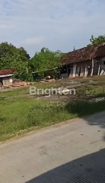 image TANAH STRATEGIS PINGGIR JALAN RAYA BLORA JAWA TENGAH  (5)