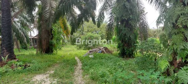 image TANAH LUAS 3,4 HA (1)