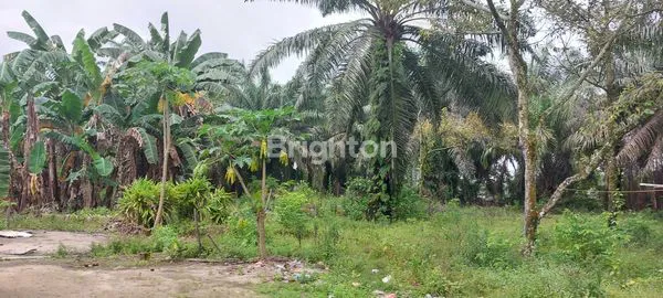 image TANAH LUAS 3,4 HA (2)