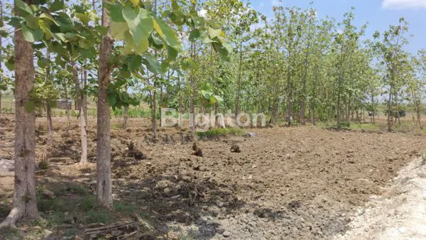 image TANAH HOOK DI SLEMPIT KEDAMEAN DEKAT RSUD  GRESIK SEHATI ( KODE : 250 ) (4)