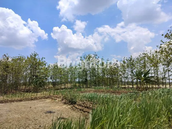 image TANAH HOOK DI SLEMPIT KEDAMEAN DEKAT RSUD  GRESIK SEHATI ( KODE : 250 ) (7)