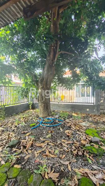 image RUMAH SEWA CLUSTER AMAN, DEKAT PUSAT BISNIS (7)