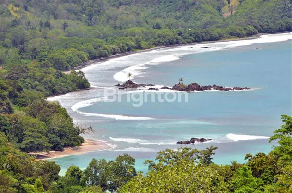 image DIJUAL TANAH PINGGIR PANTAI (1)