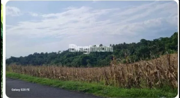 image TANAH LUAS 10.200 M² DEKAT PANTAI KLECUNG TABANAN (2)