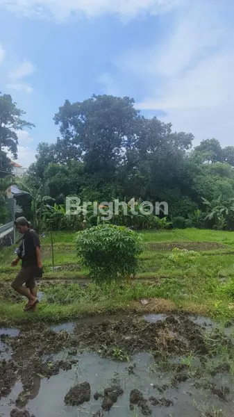 image DISEWAKAN TANAH 11 ARE DI KEROBOKAN, COCOK UNTUK VILLA & INVESTASI (1)