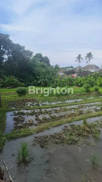 image DISEWAKAN TANAH 11 ARE DI KEROBOKAN, COCOK UNTUK VILLA & INVESTASI (2)