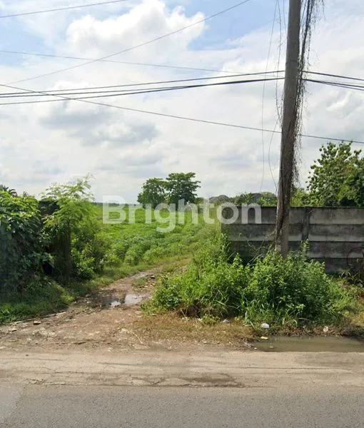 TANAH DI JLN. PROKLAMATOR RAYA, SEPUTIH JAYA, GUNUNG SUGIH, LAMPUNG TENGAH, LAMPUNG