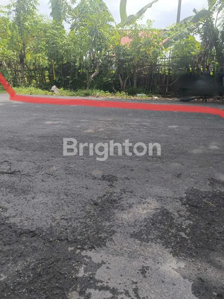 image TANAH MULTI INVESTASI BISNIS (1)