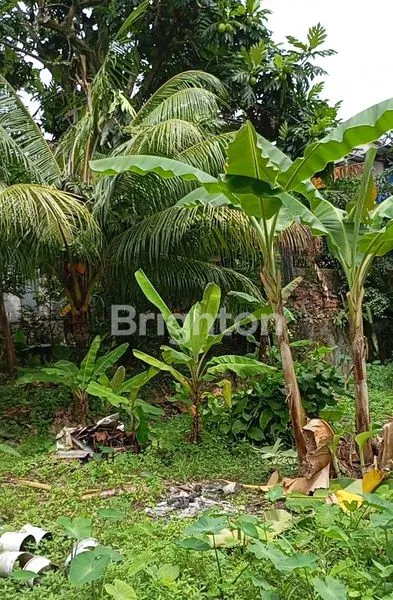 image DIJUAL RUMAH DAN TANAH PINGGIR JALAN  (8)