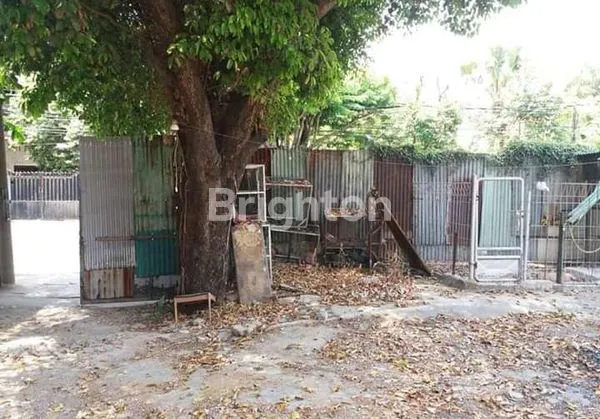 image TANAH TENGAH KOTA DAN LANGKA (3)