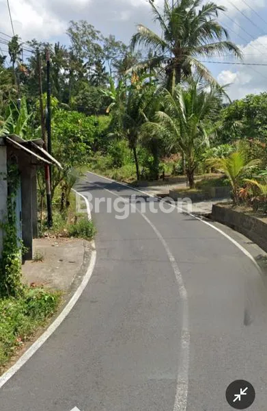 image TANAH  1000.M2  SIBANG  (2)