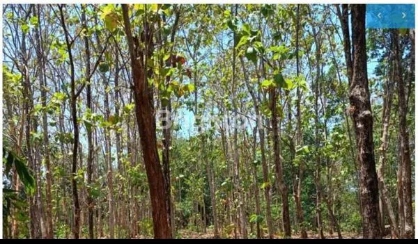 image TANAH STRATEGIS 2.300M² DI GOWA, INVESTASI MENGUNTUNGKAN (1)