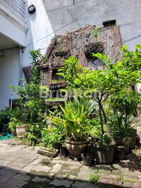 image RUMAH SIAP HUNI & TERAWAT  LOKASI STRATEGIS DEKAT UNAIR (2)