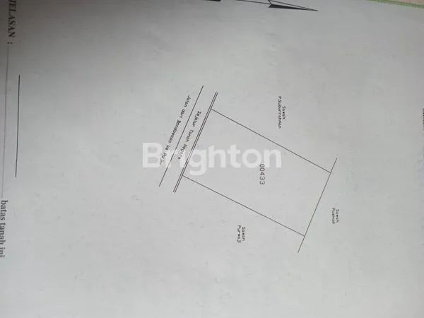 image RUMAH STRATEGIS PINGGIR JALAN LT. 790 M2 DI JALAN RAYA KONCER, DS. SUMBER SALAM, KEC. TENGGARANG, BONDOWOSO (2)