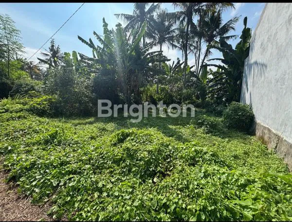 image TANAH SIAP BANGUN (3)