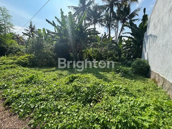 image TANAH SIAP BANGUN (4)