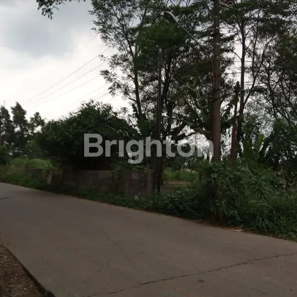 image TANAH LUAS 1,4 HA DI SENTUL, AKSES TOL DEKAT (5)