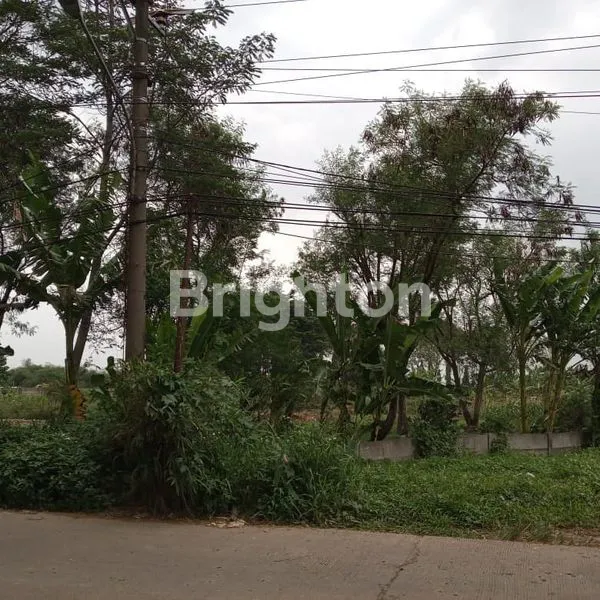 image TANAH LUAS 1,4 HA DI SENTUL, AKSES TOL DEKAT (4)