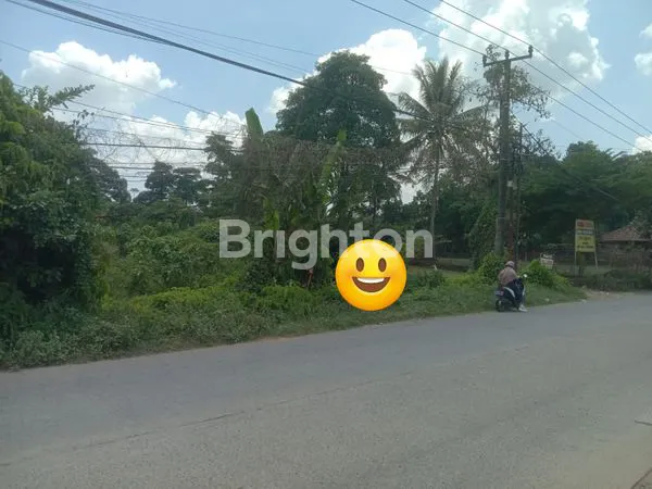 image TANAH DIJUAL (1)