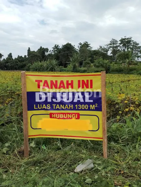 image TANAH DIJUAL (2)