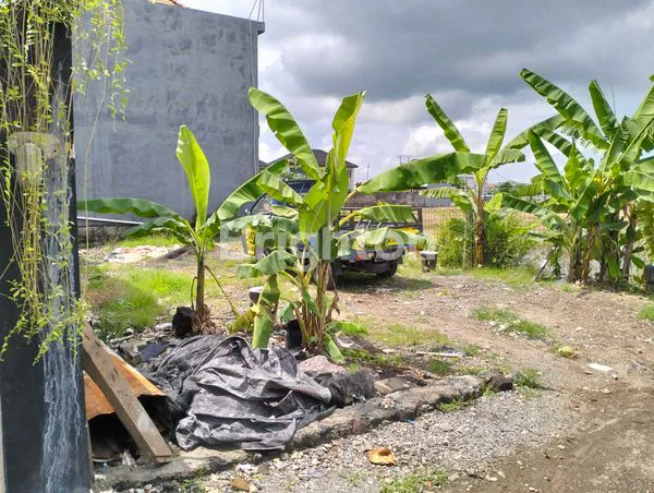 image TANAH DEKAT SANUR (2)