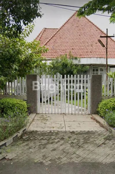 image WR SUPRATMAN (1)