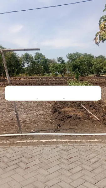image TANAH KAVLING PERUMAHAN RANDUPADANGAN MENGANTI GRESIK (1)