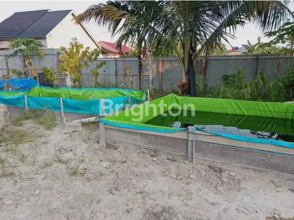 image DIJUAL TANAH & BANGUNAN (USAHA PEMBIBITAN IKAN) (4)