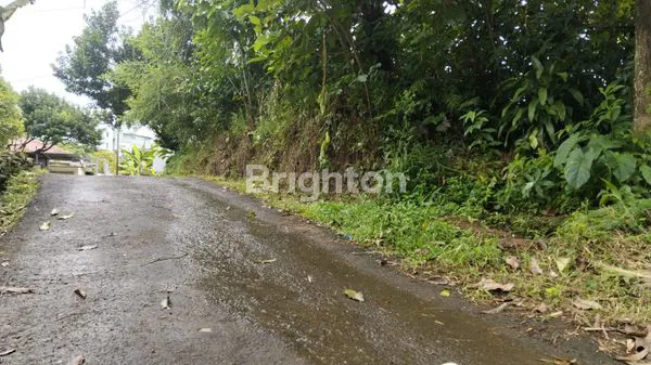 image JUAL TANAH KAVLING DIPUSAT KOTA BOGOR (4)