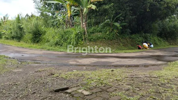 image JUAL TANAH KAVLING DIPUSAT KOTA BOGOR (5)