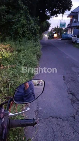 image JUAL TANAH DI SABA, GIANYAR (3)