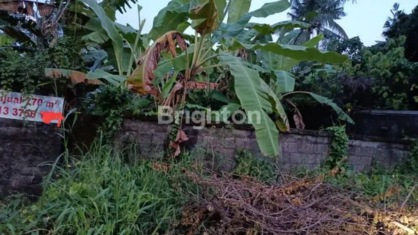 image JUAL TANAH DI SABA, GIANYAR (2)